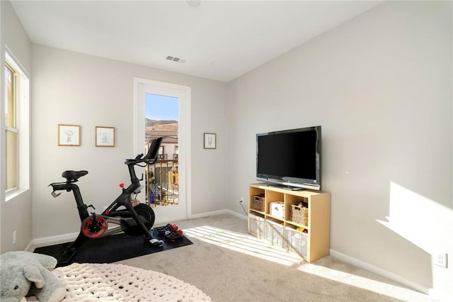 workout room with carpet flooring