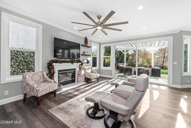 living room with crown molding, ceiling fan, and dark hardwood / wood-style flooring