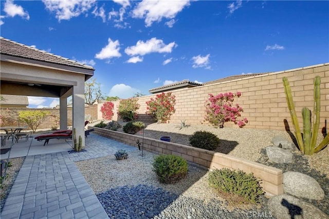 view of yard with a patio