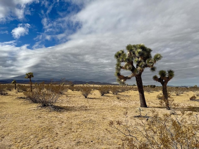 162 Landers Ln, Yucca Valley CA, 92284 land for sale