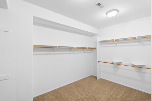 walk in closet featuring carpet flooring