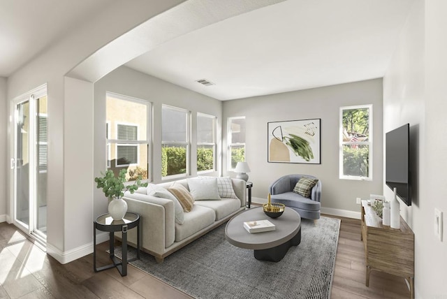 living room with wood-type flooring