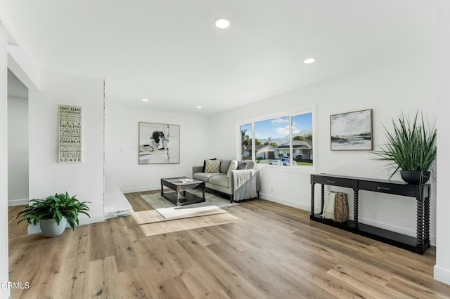 living room with light wood-type flooring