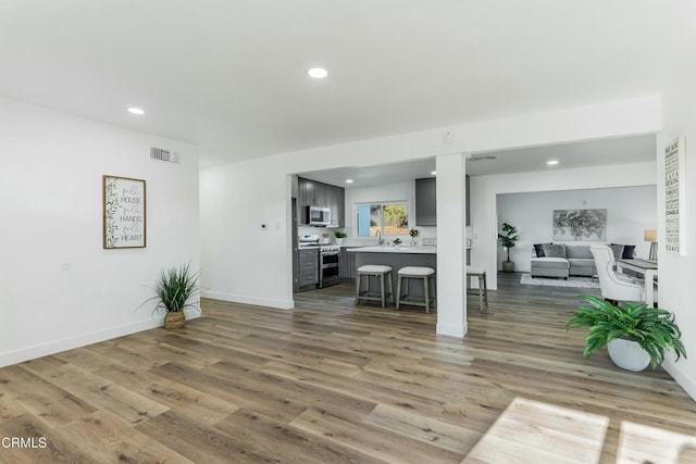 living room featuring hardwood / wood-style floors and sink