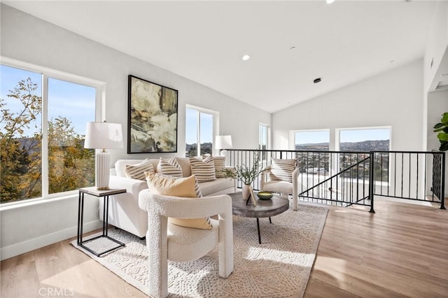 living room with light hardwood / wood-style floors and high vaulted ceiling