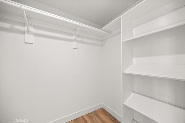 spacious closet with hardwood / wood-style flooring