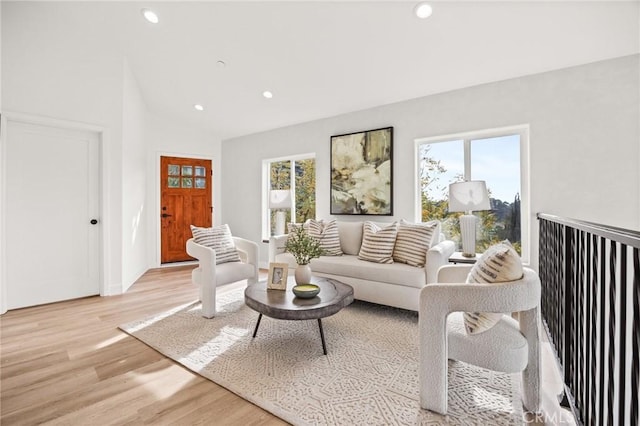 living room featuring light wood-type flooring and plenty of natural light