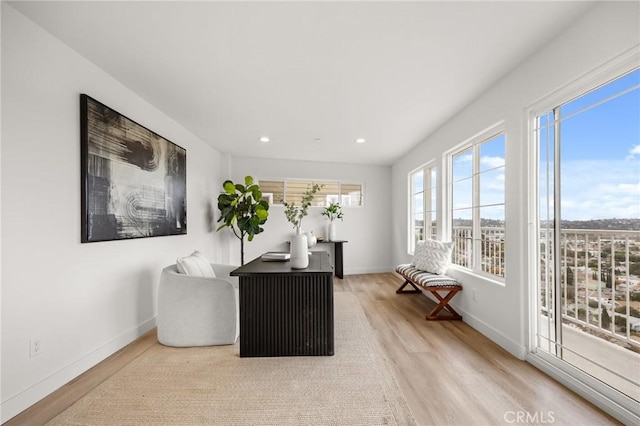 office area with light hardwood / wood-style floors and plenty of natural light