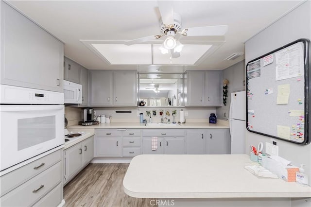 kitchen with gray cabinetry, ceiling fan, sink, light hardwood / wood-style floors, and white appliances