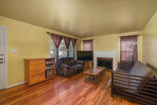 living room with hardwood / wood-style flooring