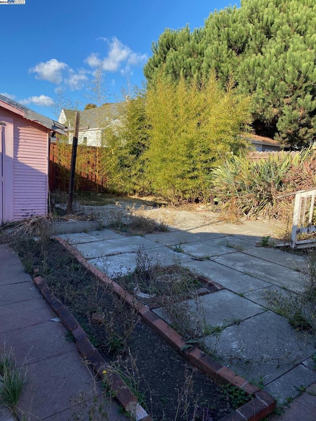 view of yard featuring a patio area