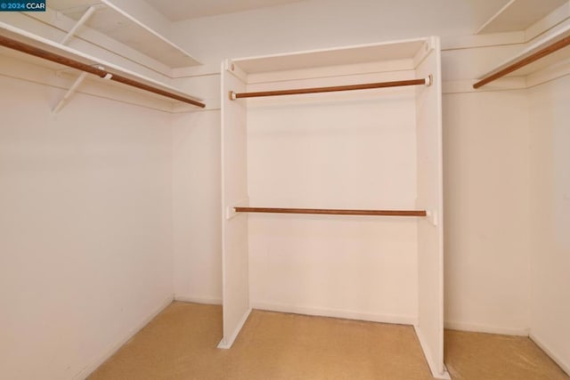 spacious closet featuring light colored carpet