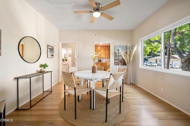 dining room featuring light hardwood / wood-style flooring and ceiling fan