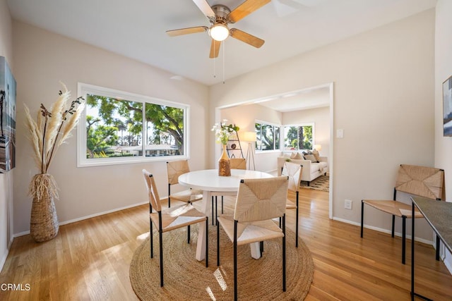 dining room featuring ceiling fan and light hardwood / wood-style floors