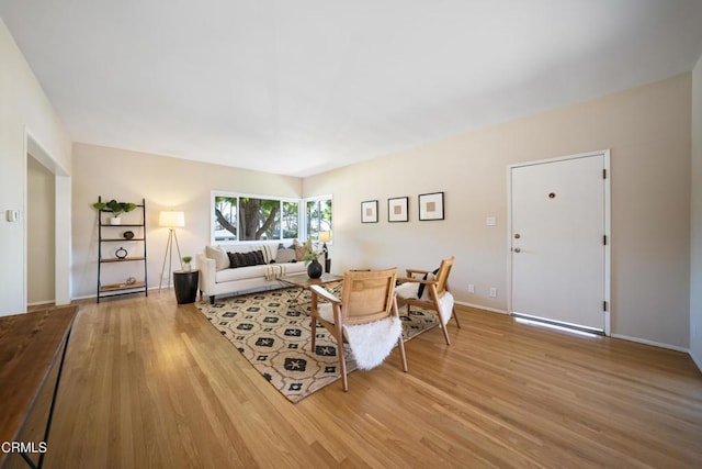 living room featuring wood-type flooring