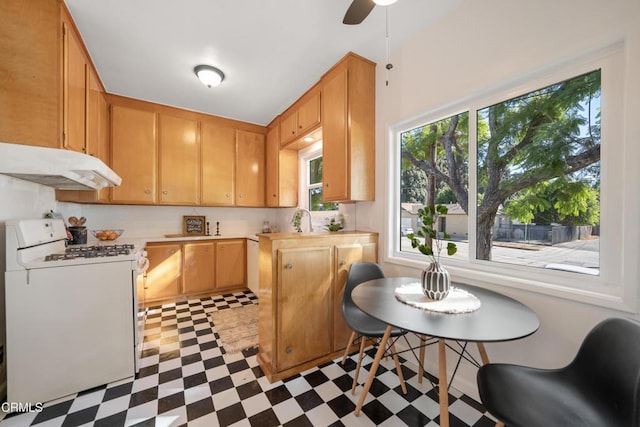 kitchen featuring ceiling fan, light brown cabinets, and white range