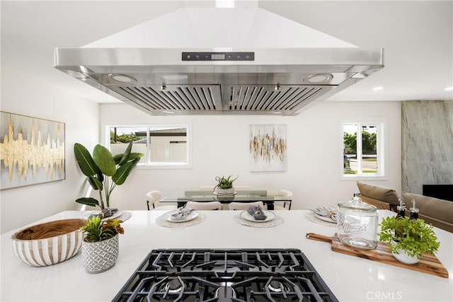 room details with stovetop and island range hood