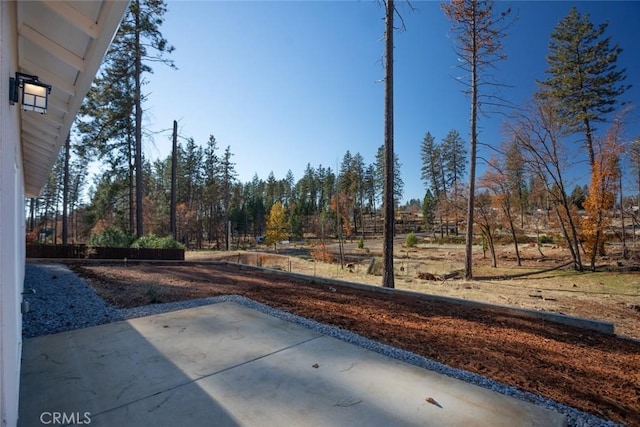 view of yard featuring a patio