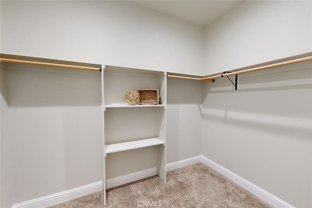 spacious closet featuring light carpet