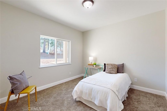 bedroom featuring carpet flooring