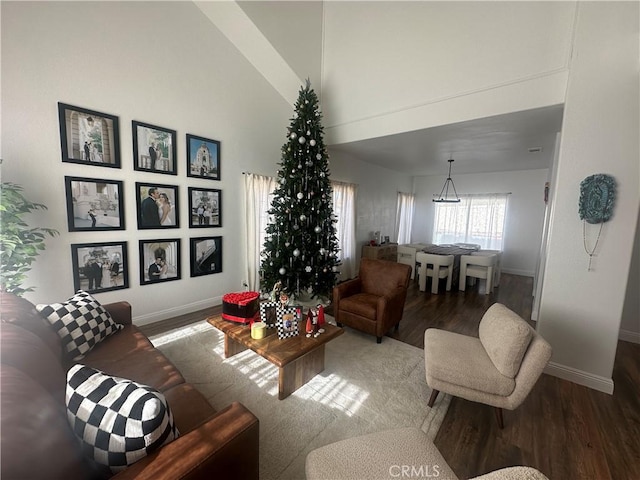 living room featuring hardwood / wood-style floors