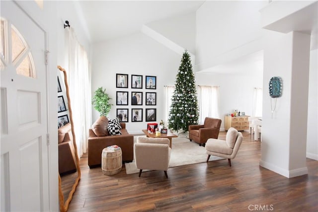 living room with high vaulted ceiling and dark hardwood / wood-style floors