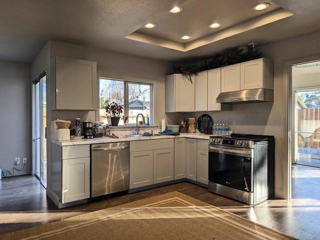 kitchen featuring dark hardwood / wood-style floors, a raised ceiling, sink, white cabinets, and stainless steel appliances