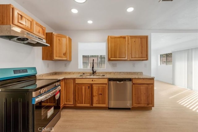 kitchen with light hardwood / wood-style flooring, sink, plenty of natural light, and stainless steel appliances