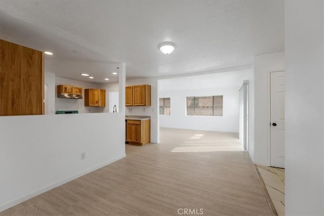 unfurnished living room with light wood-type flooring