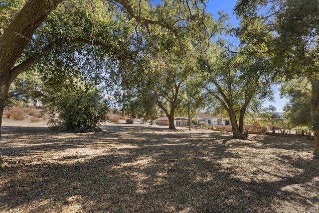 view of yard with a rural view