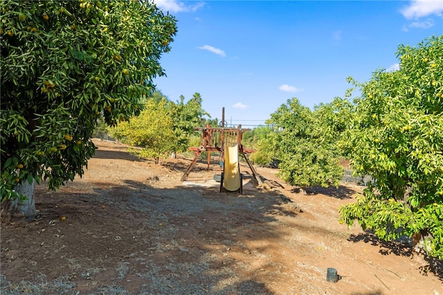 view of jungle gym