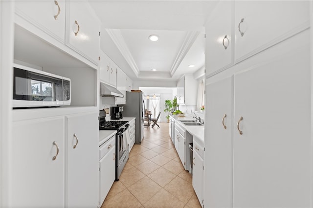 kitchen with sink, stainless steel appliances, a tray ceiling, white cabinets, and exhaust hood