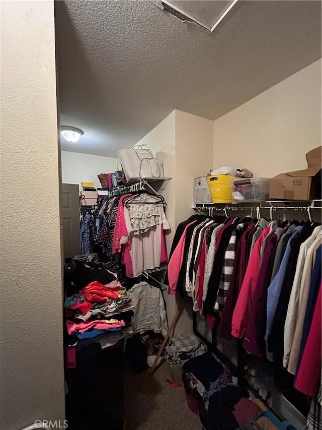 spacious closet featuring carpet