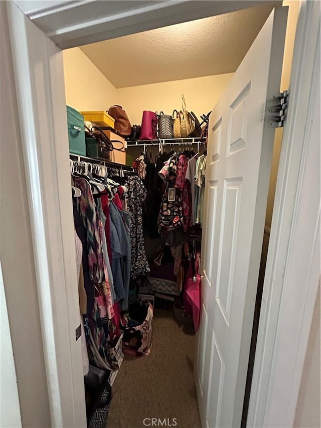 spacious closet featuring carpet flooring