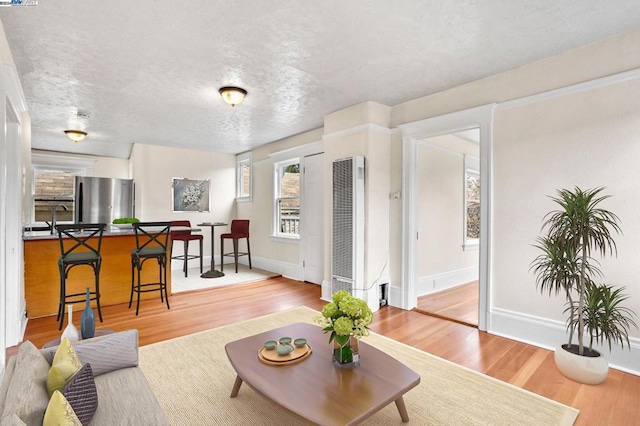 living room featuring sink, wood-type flooring, and a textured ceiling