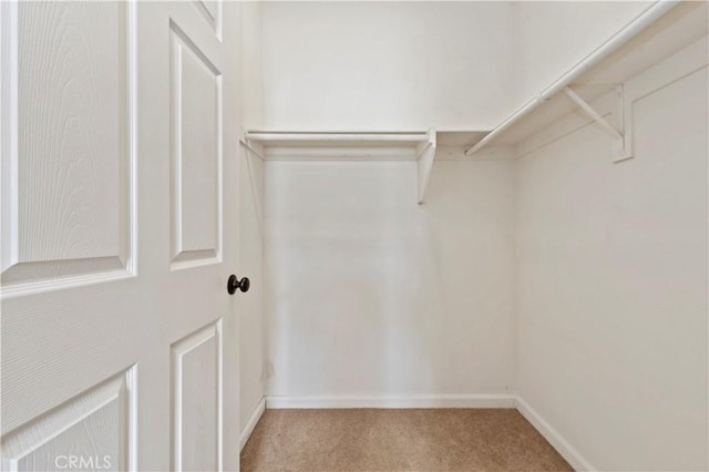 spacious closet with light carpet