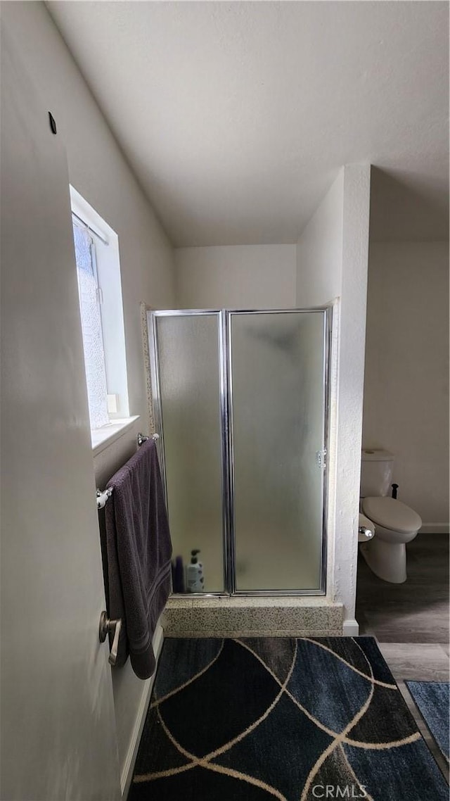 bathroom featuring hardwood / wood-style floors, toilet, and walk in shower