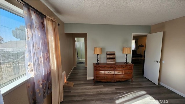 interior space with a wealth of natural light, dark hardwood / wood-style flooring, and a textured ceiling