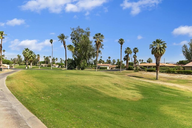 view of community with a lawn