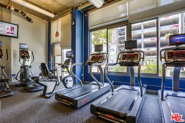 workout area with a wealth of natural light