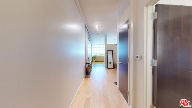 hall with a wall of windows, light wood-type flooring, and crown molding