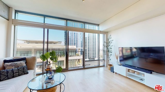 living room featuring a wall of windows and light hardwood / wood-style flooring