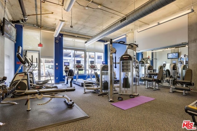 workout area featuring carpet flooring