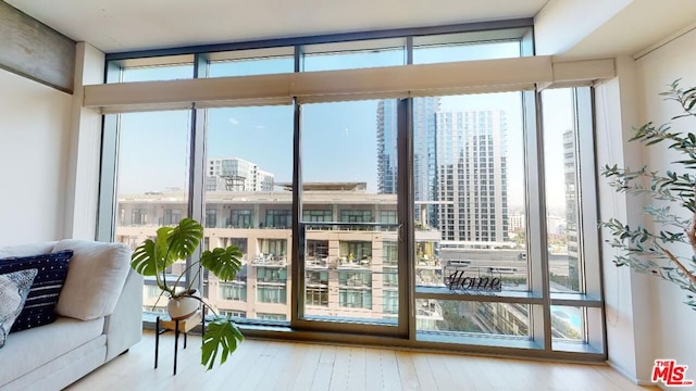 entryway with expansive windows, plenty of natural light, and hardwood / wood-style flooring