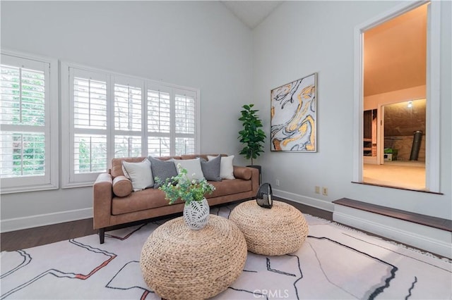 living room featuring hardwood / wood-style flooring and high vaulted ceiling