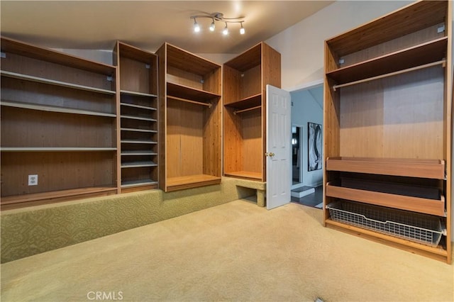 spacious closet featuring carpet floors