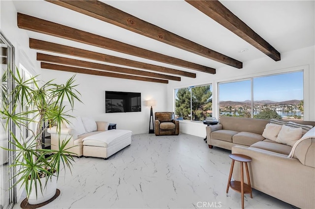 living room featuring beamed ceiling