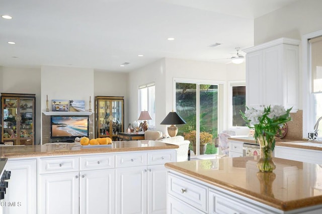 kitchen with white cabinetry, sink, ceiling fan, and stainless steel dishwasher