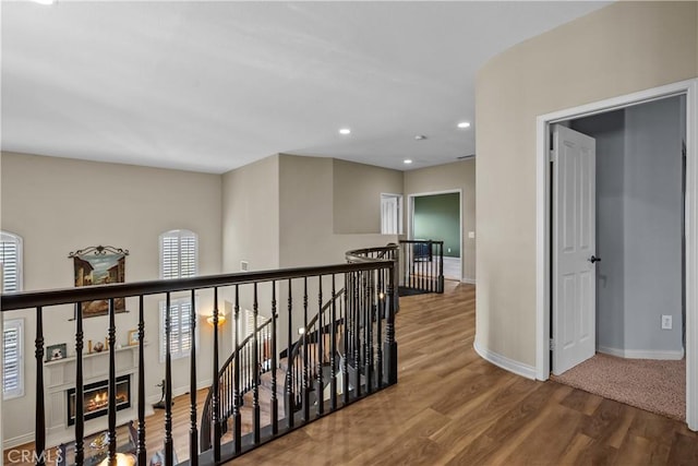 hall with hardwood / wood-style flooring and plenty of natural light