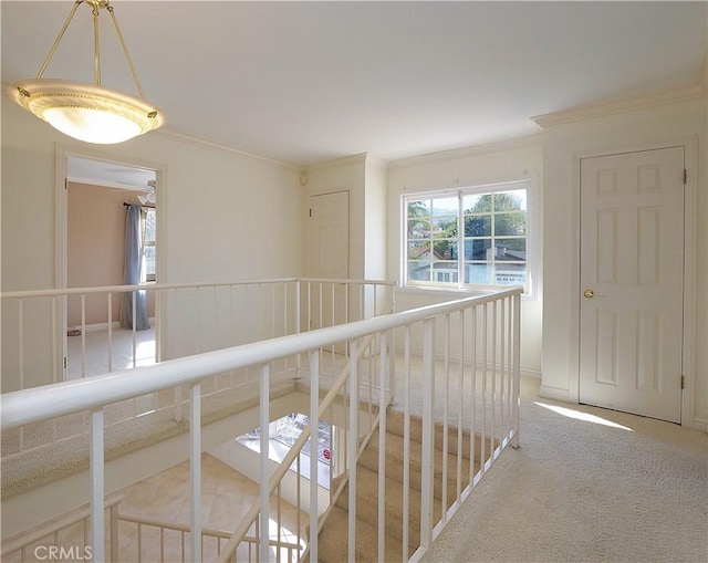 hall featuring an upstairs landing, crown molding, and carpet